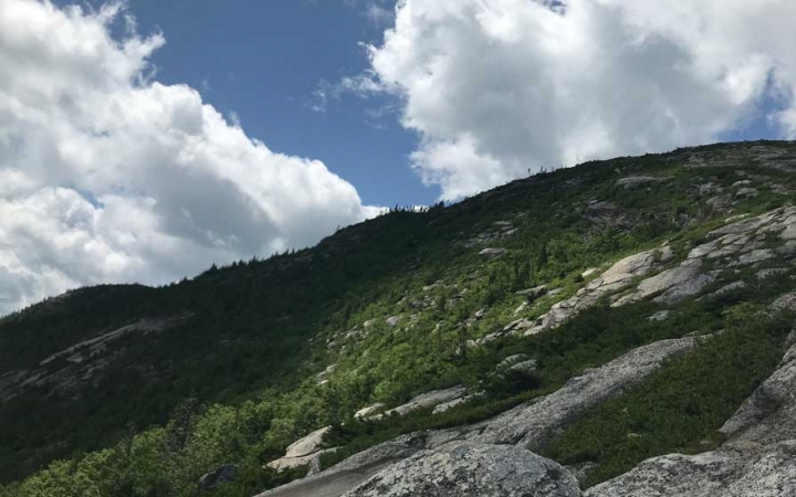 gap year semester in maine